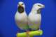 img_1702_small.jpg