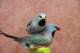 img_1875_small.jpg