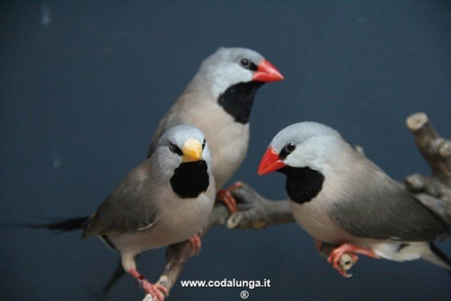 photo13.jpg