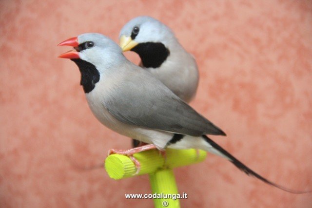 photo21.jpg