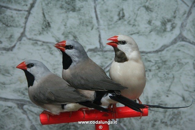 photo6.jpg