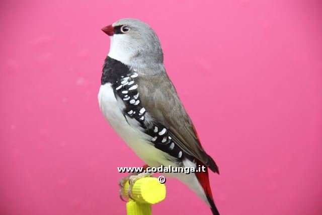 img_2650.jpg