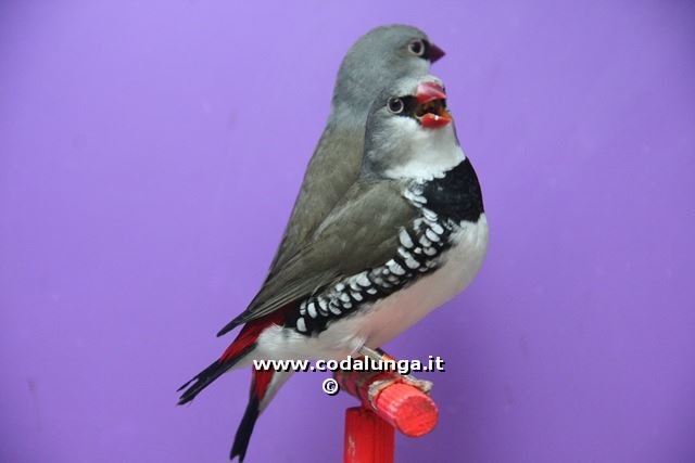 img_2765.jpg